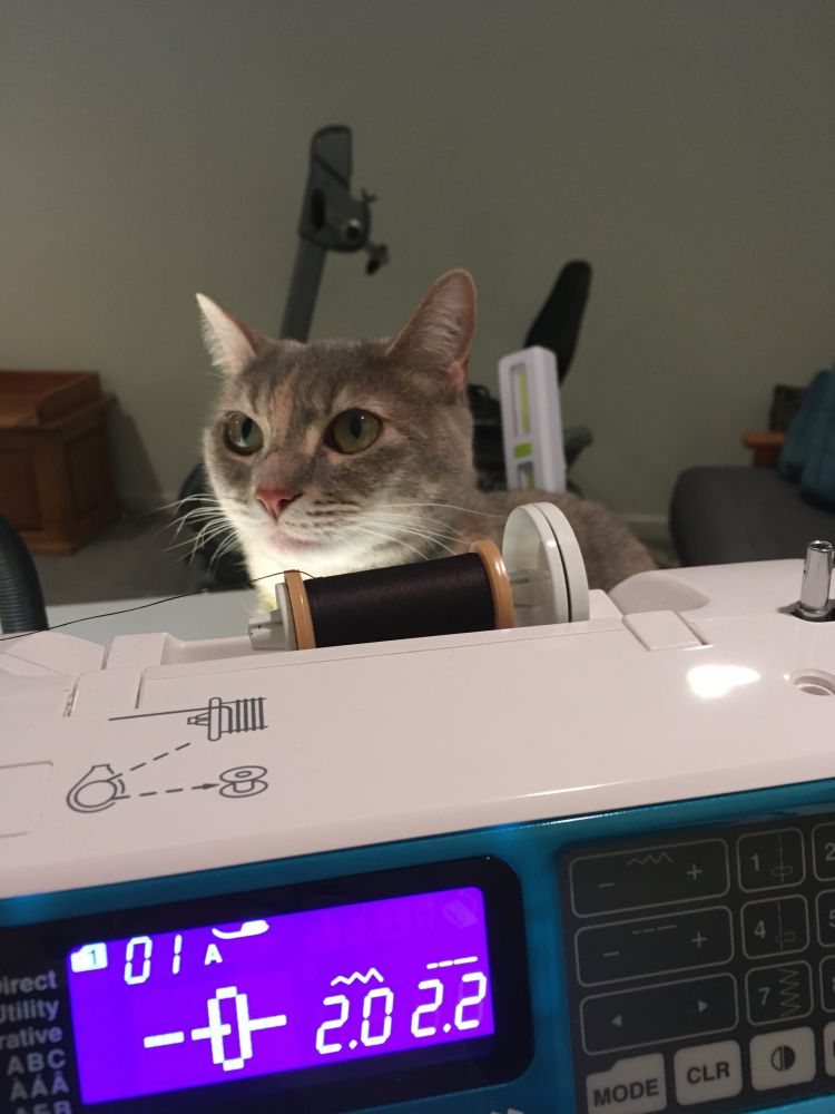 Gray tabby cat sitting behind sewing machine near the thread spool.