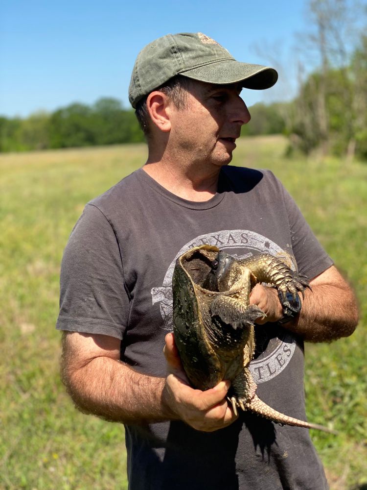 I'm wearing a green cap and a grey Texas Turtles shirt holding a Common Snapping Turtle 