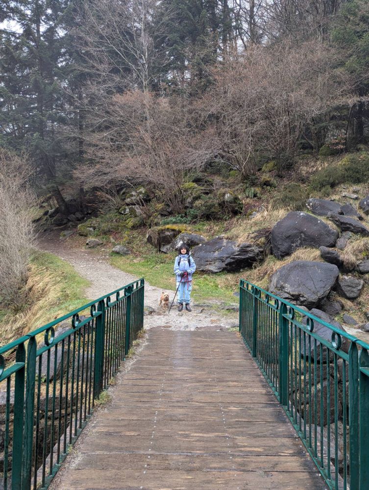 Vue sur un pont centrée sur Moon et le chien avec la forêt derrière 