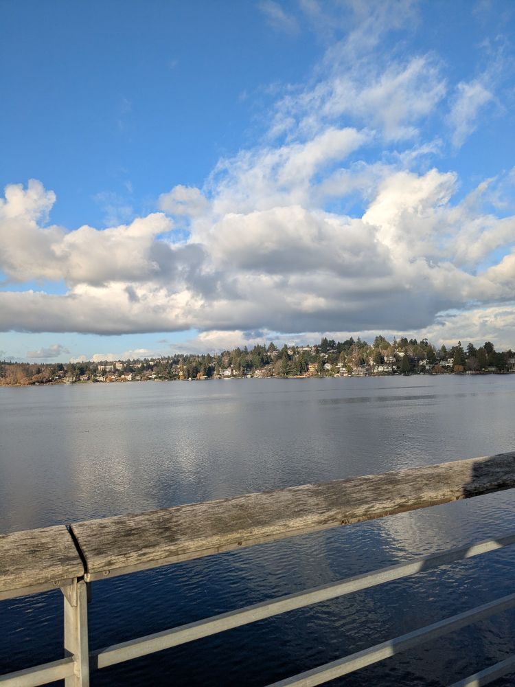 view of laurelhurst from the SR 520 bridge