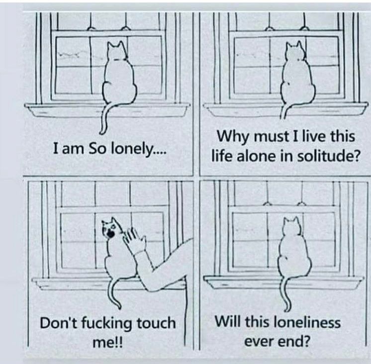 Katt i fyra bildserier som sitter i ett fönster. den första tänker den ”I’m so lonely”. Den andra “why must I live this life alone in solitude?”. I tredje rutan är en arm på väg att klappa katten som med ansiktet hitåt då säger ”don’t fucking touch me”. I sista rutan tittar katten ut igen och tänker ”Will this loneliness ever end?” 