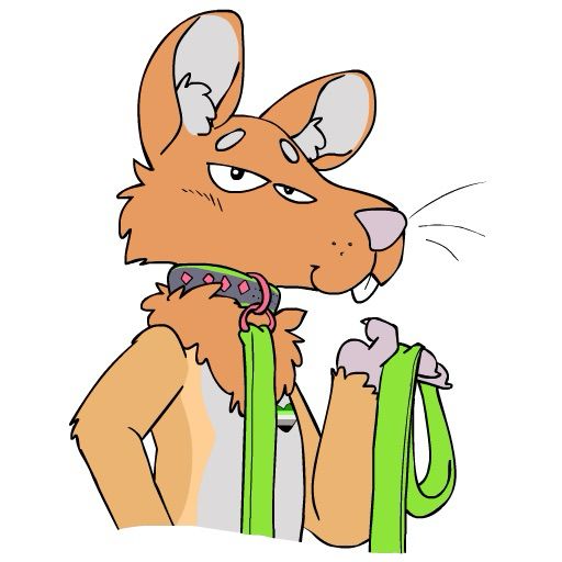 Wized woth a collar and leash on