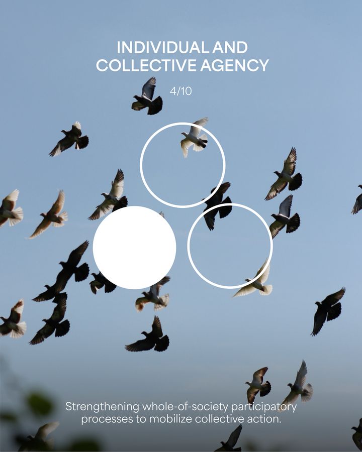 A flock of pigeons flies together in a blue sky. Three white rings are overlaid in a triangle formation, with the circle on the left side filled in white. This card represents ASRA's Individual and Collective Agency principle. Strengthening whole-of-society participatory processes to mobilize collective action.
