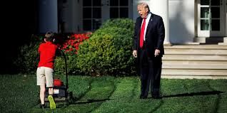 Trump yelling at kid mowing White House lawn meme