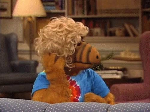 a stuffed animal sitting on a couch with a wig on