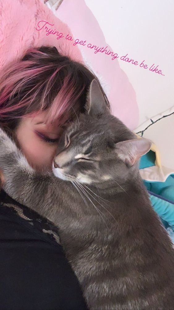 Quartsy and Clancy snuggling and napping together. Quartsy has split dyed pink and brown hair and Clancy is a grey and white striped tabby cat.