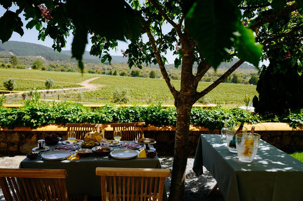 Outdoor dining table set with food and drink, overlooking vineyards on a sunny day.
