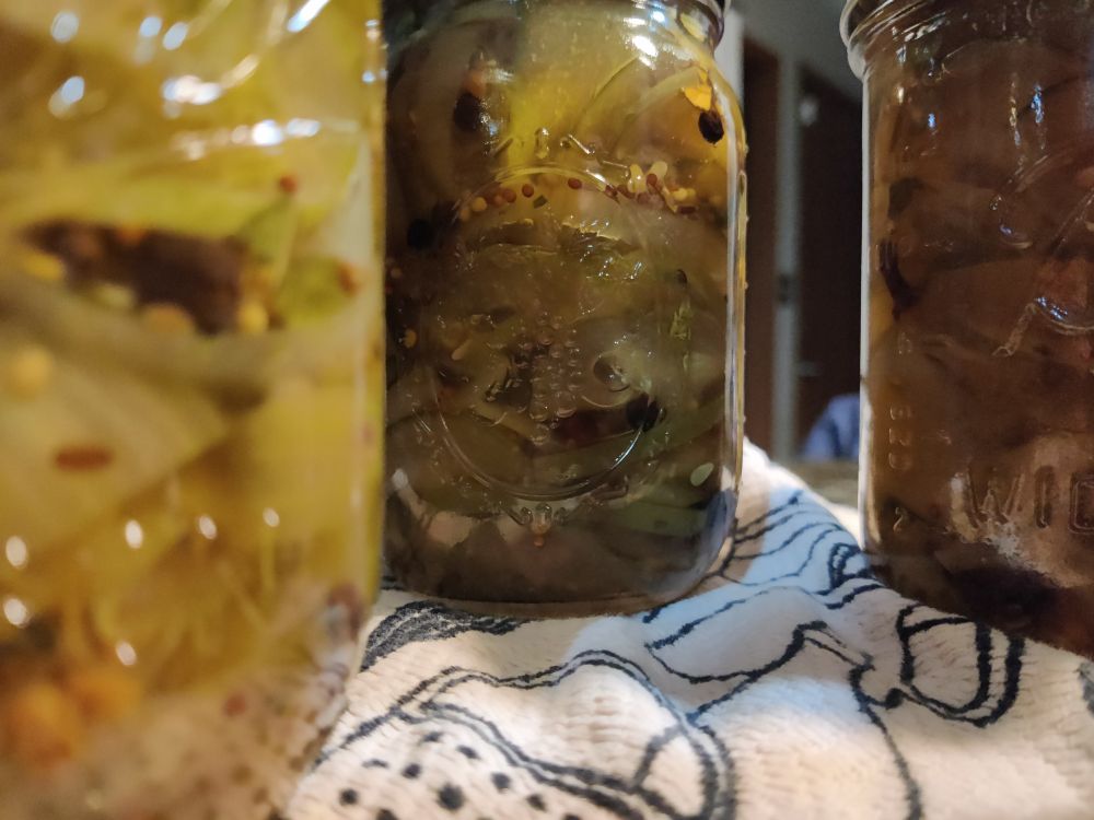 Supposed to be three wide mouth jars of bread & butter pickles up close but looks more like a haunted picture.