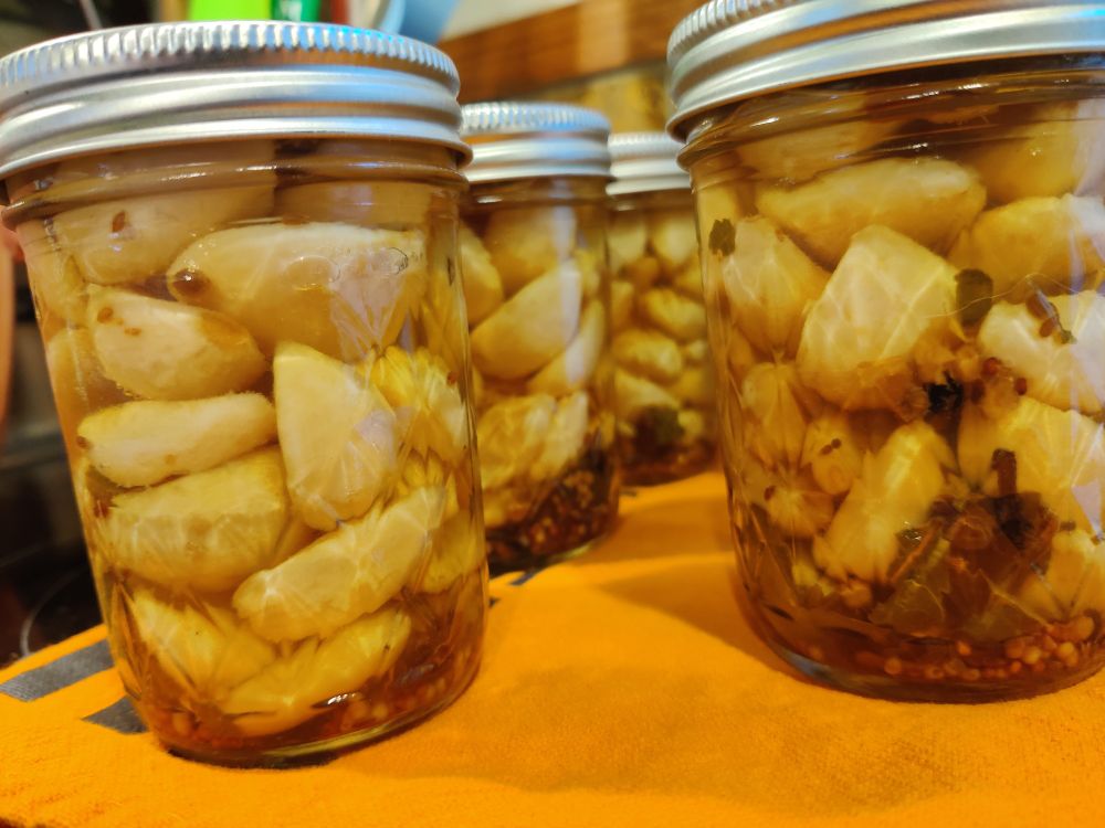 A closer view of garlic cloves in half-pint mason jars in a brine solution. On the bottom of each jar is about a teaspoon of Penzeys pickling spice. Brine is white vinegar, water, and pickling salt (technically kosher salt - regular salt has anti-caking stuff added to it which can cloudy the solution).