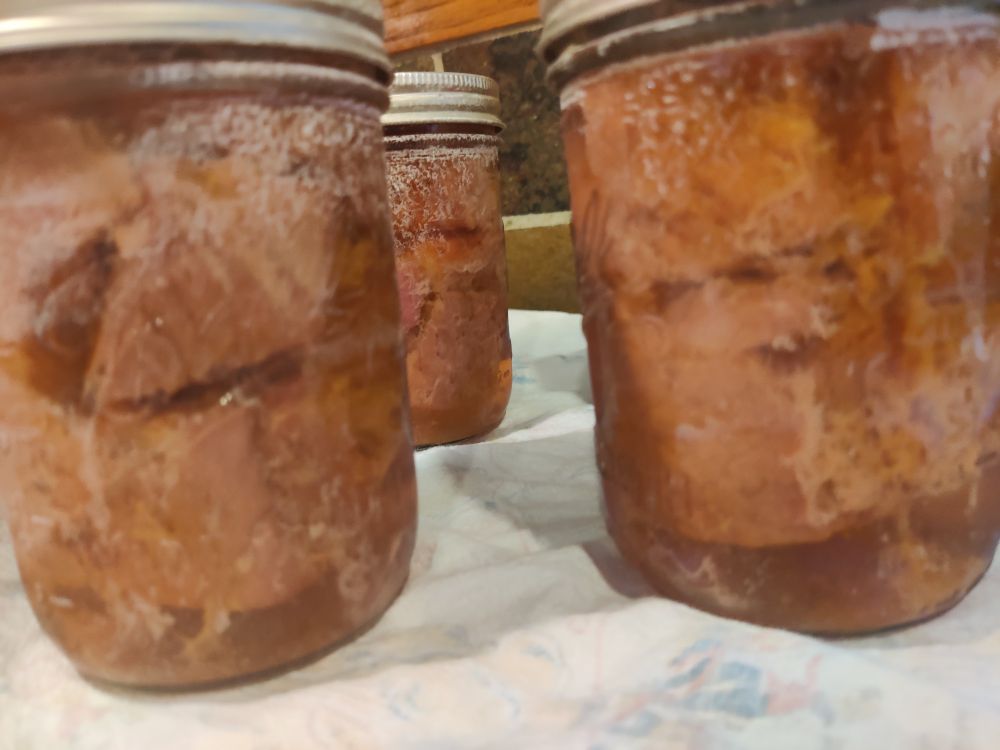 3 pint sized mason jars that have finished their 75 minutes in the pressure canner. Takes far longer than 75 minutes if you include the build up to pressure and then natural release. The fluid in the jars comes from the meat.