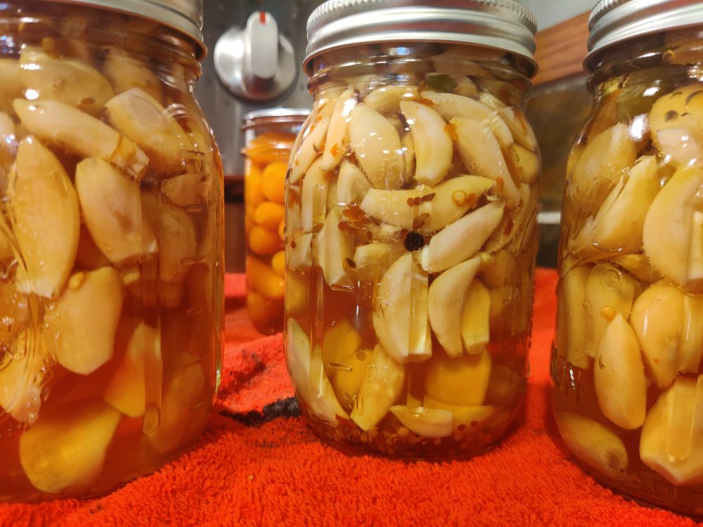 Garlic in jar in a brine. Each has different spices. Might end up looking better than they taste.