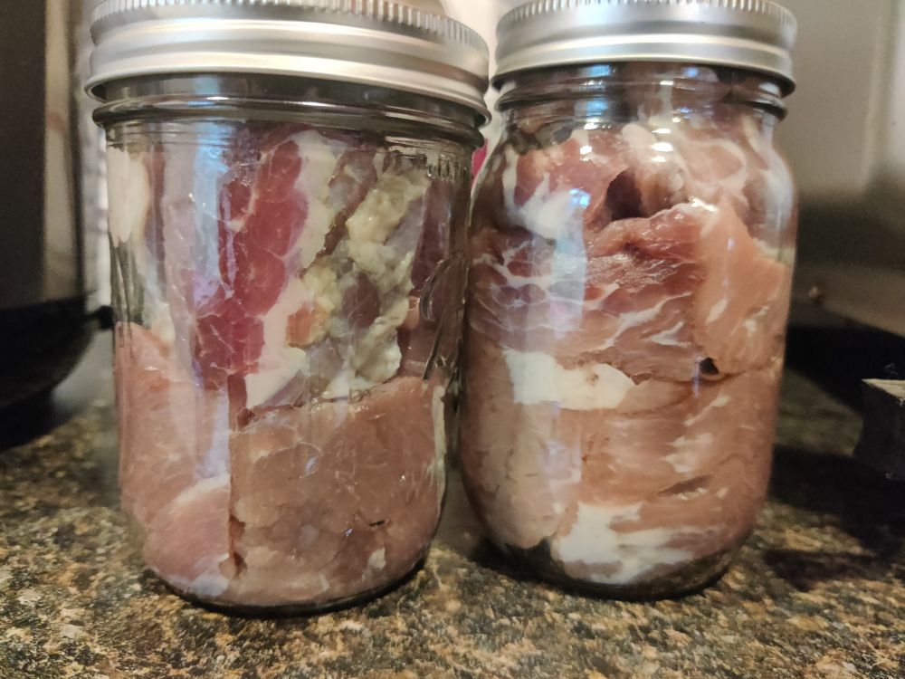 2 pint sized mason jars with corned beef shoved in them (tried to minimize air pockets). Jars are waiting for their turn on the pressure canner.