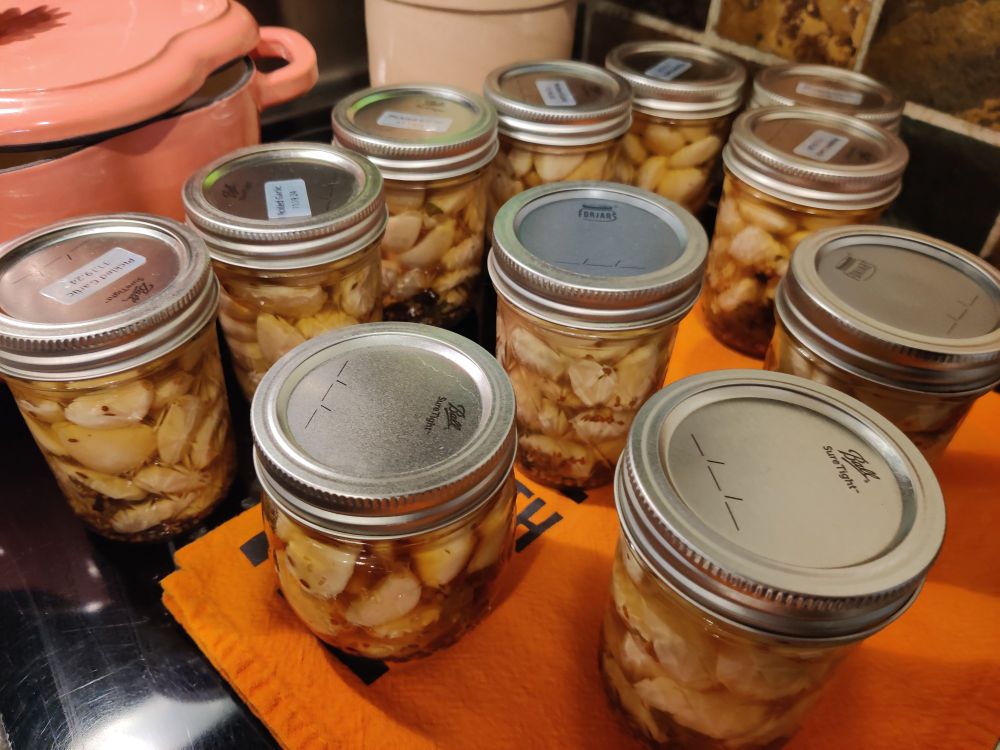 Peeled garlic cloves in half-pint mason jars on top of my stove. Those that just came out of the water bath are on top of an orange towel to dry off and cool down. The ones on the black surface have cooled enough that I was able to label them.

Pink thing is a cute dutch oven.
