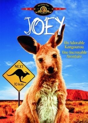Affiche du DVD français de Joey. 