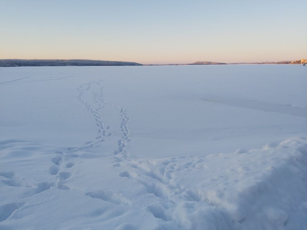 Auf einem zugefrorenen, mit Schnee bedeckten See verlaufen Fußspuren Richtung Horizont. Im Hintergrund erheben sich, in weiter Ferne, flache Hügel. Der Himmel ist leicht orange. 
