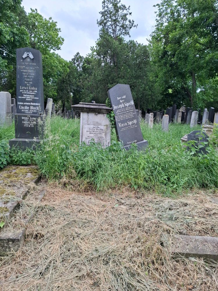 In einer Wiese mit hohem Gras stehen mehrere Grabsteine. Einer ist umgefallen und lehnt an seinem Nachbarn. Im Vordergrund ist vertrocknetes Gras.