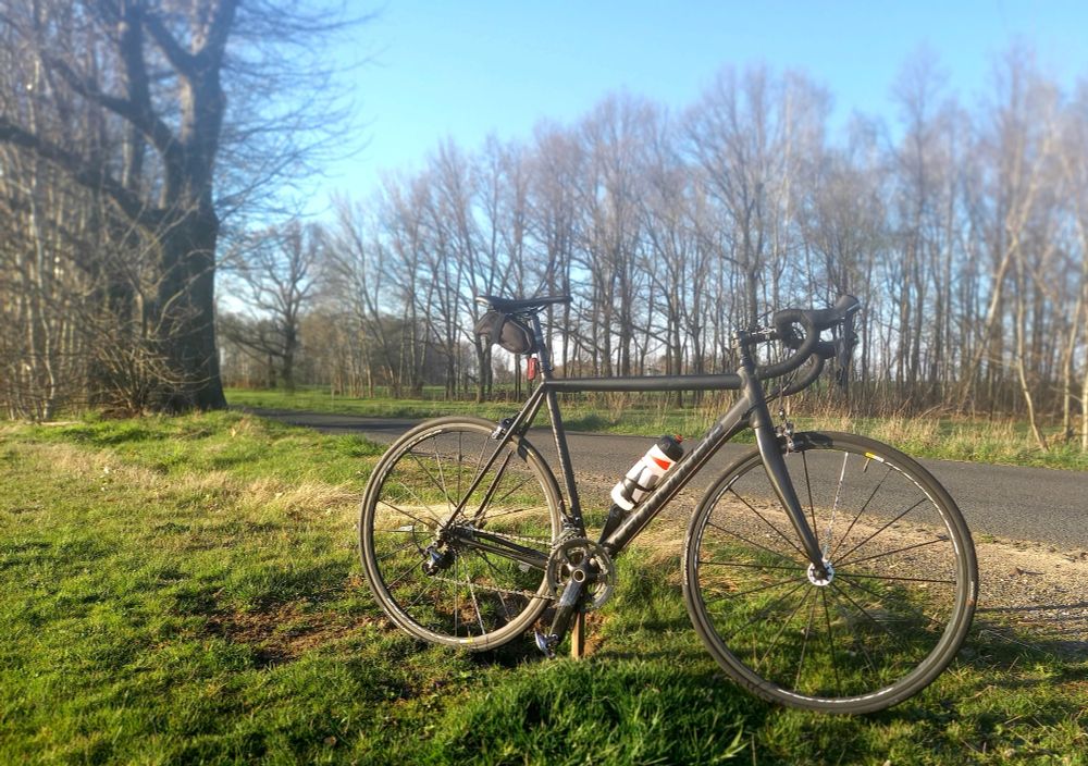 Rennrad auf grüner Wiese in der Sonne.