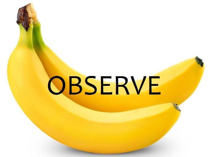 a banana with the text OBSERVE written over it