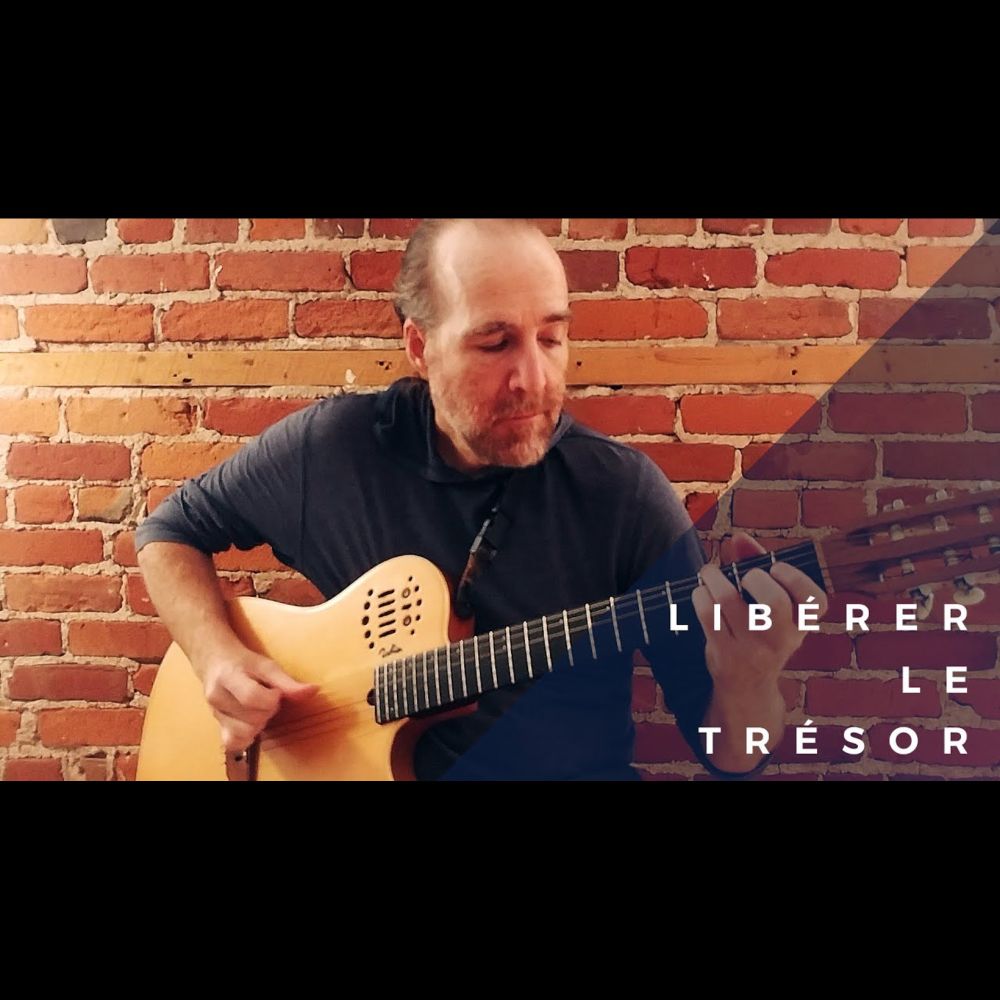 Libérer le trésor (Michel Rivard) - excerpt - [Fingerstyle Guitar Covers]