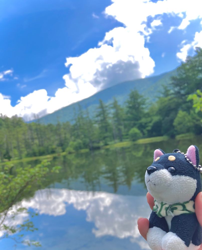 右下手前で、黒柴のぬいぐるみが左上から降り注ぐ陽射しを浴びておすわりをしている。背景は底が見えるほど水が澄んだ湖。湖に奥の林と夏の雲が映り込んでいる。