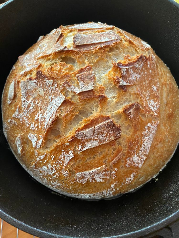 A very nice-looking sourdough boule