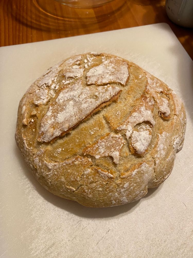 Loaf of sourdough bread 