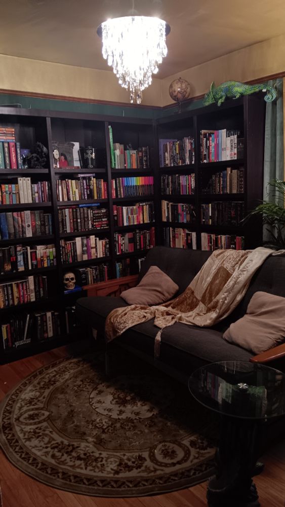 "Fitted" bookshelves filled with books, futon with pillows and blanket, carpet, globe and lizard on top