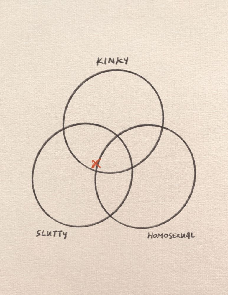 Venn diagram of slutty/kinky/homosexual circles with an X marking shawarma in the intersection of slutty and kinky, but heavier on the slutty
