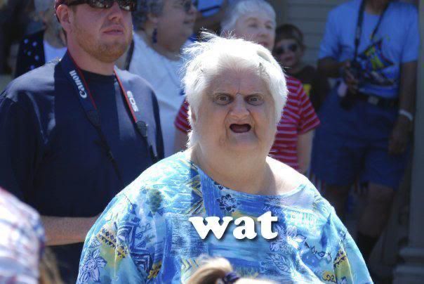meme of older woman with mouth open overlayed with “wat” text