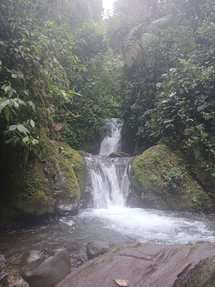 A beautiful tropical waterfall cascading down.