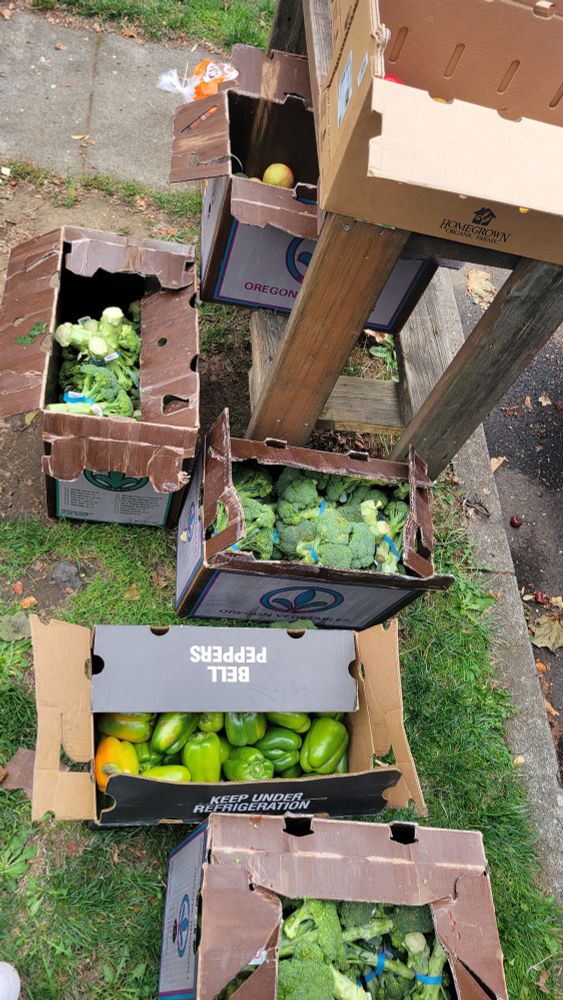 Photo of boxes on the curb, full of broccoli, bell pepper and other produce from a previous drop off. 