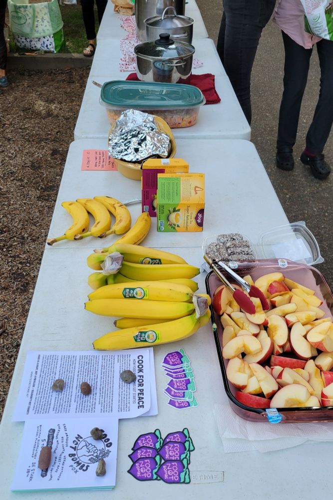 Fliers, stickers, fruit, pots of food on a long table 