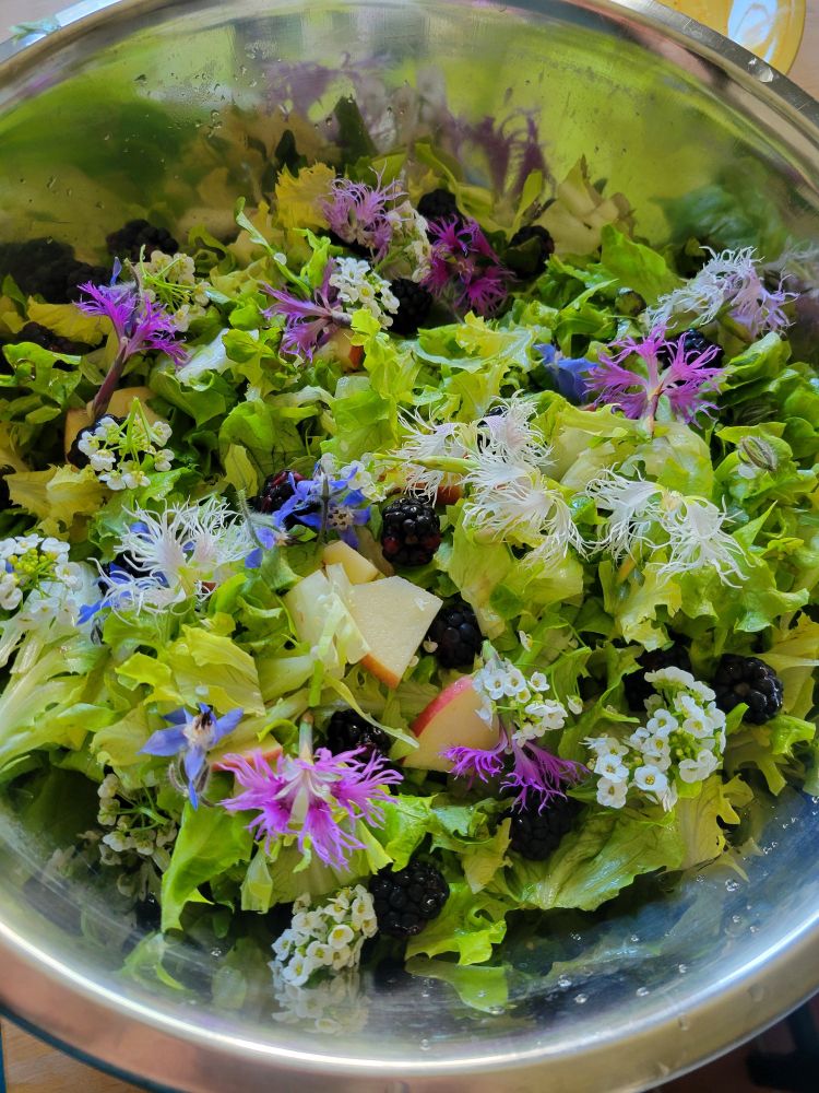 Green salad in a silver bowl with blackberries, apples, edible flowers that are pink, purple and white