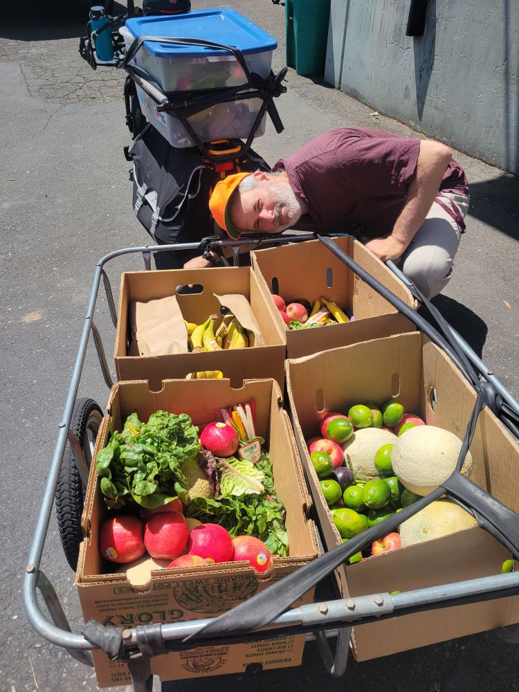 A cargo bike with a trailer and four boxes of donated fruit and greens
