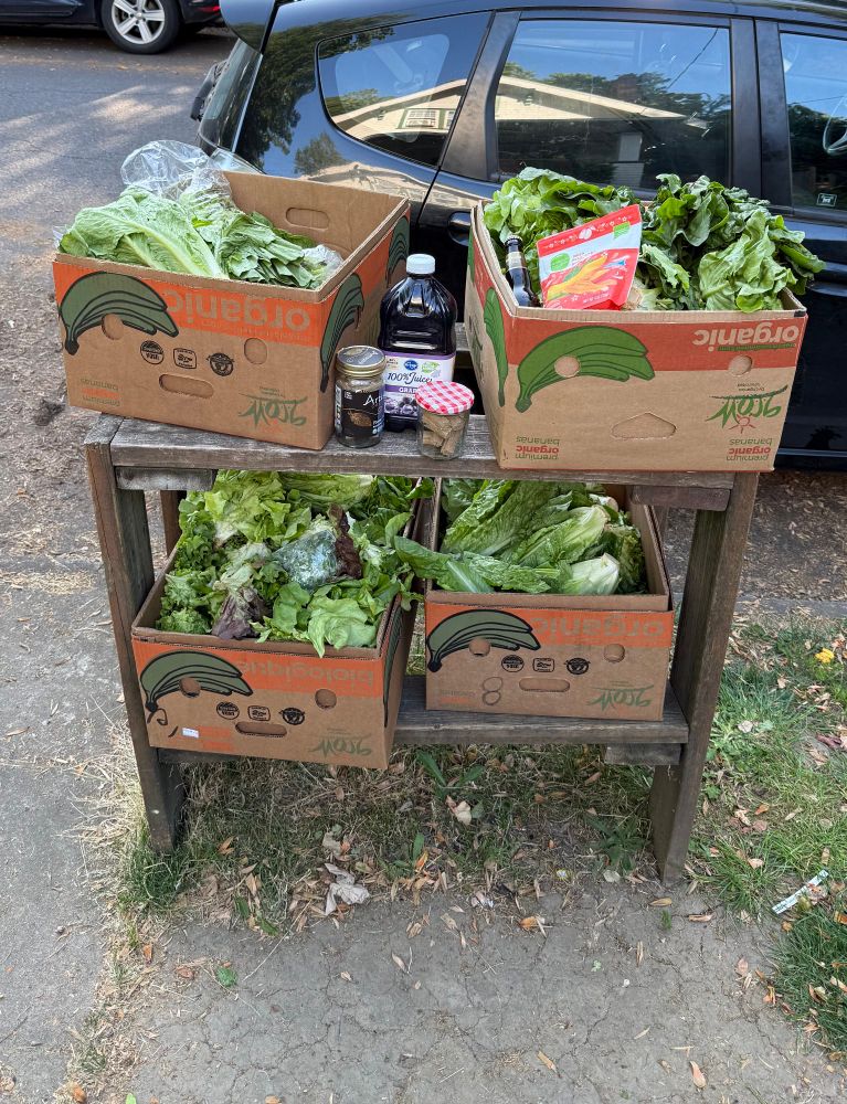 Wooden shelf on curb with boxes full of lettuce and other greens