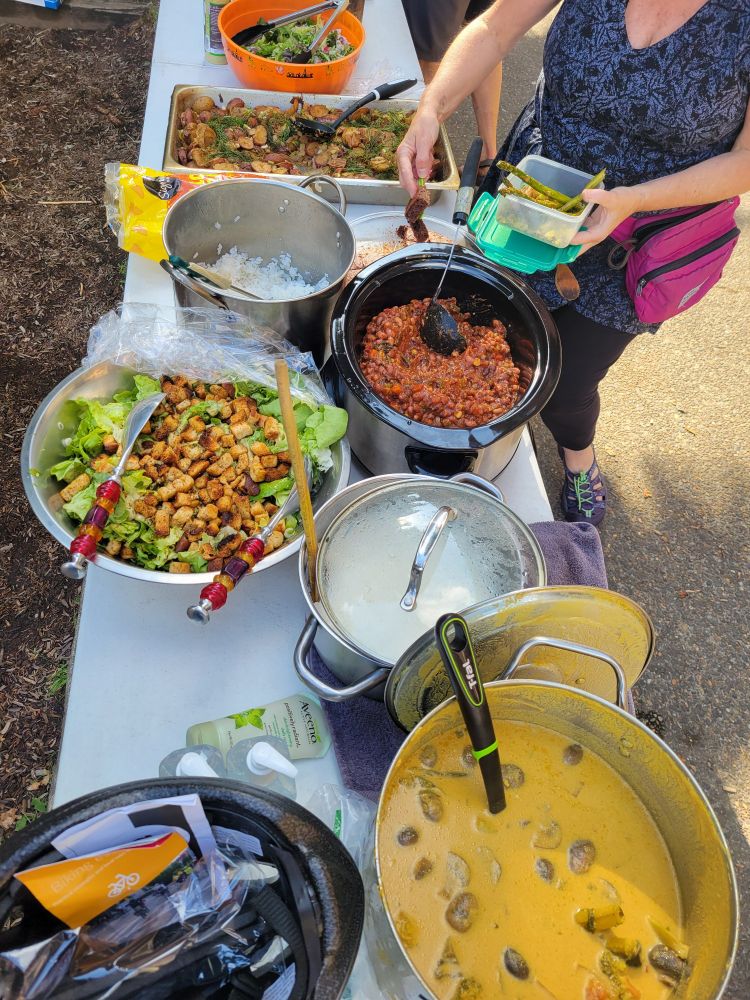 Tables lined with pots of rice, salad, curry, chili, potatoes and other delicious vegan food. 