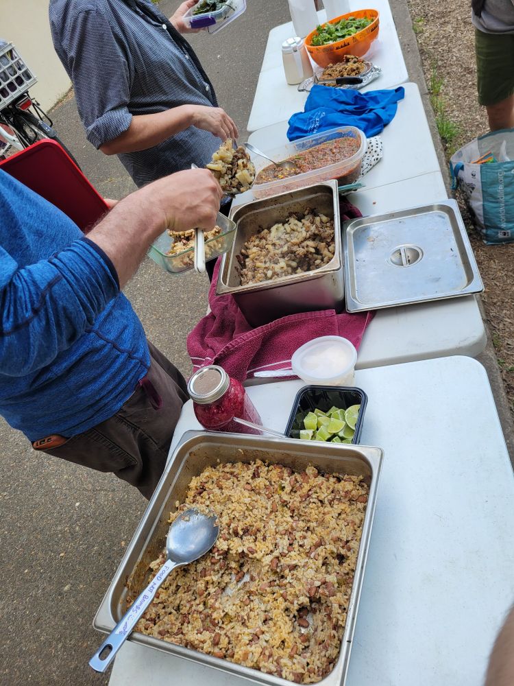 Long table with metal hotel pans full of rice, beans, potatoes with a salad, sauerkraut, limes 