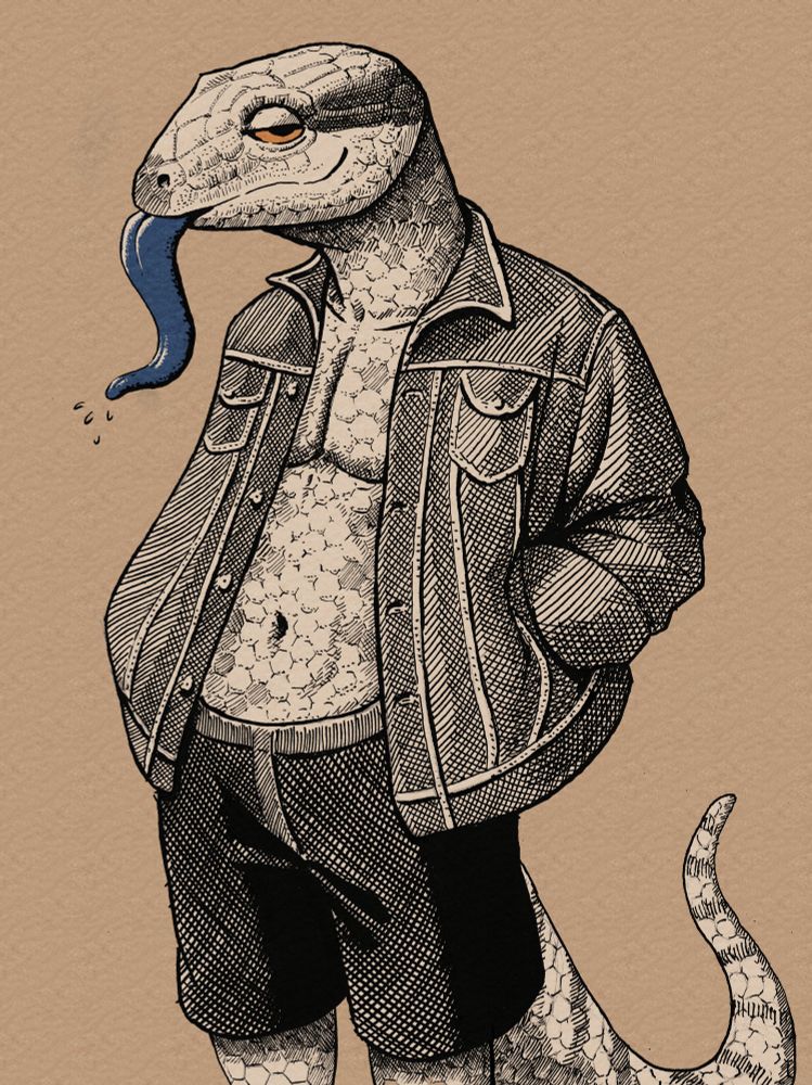 anthro blue-tongued lizard wearing an open denim jacket, shirtless underneath. he's sticking his long-arse tongue out and...don't you gimme that fuckin' look ya lizard twat