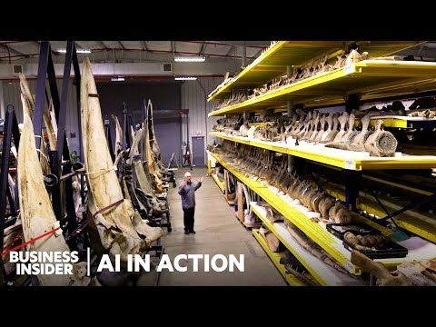 How The Smithsonian Safeguards 148 Million Specimens | AI in Action | Business Insider