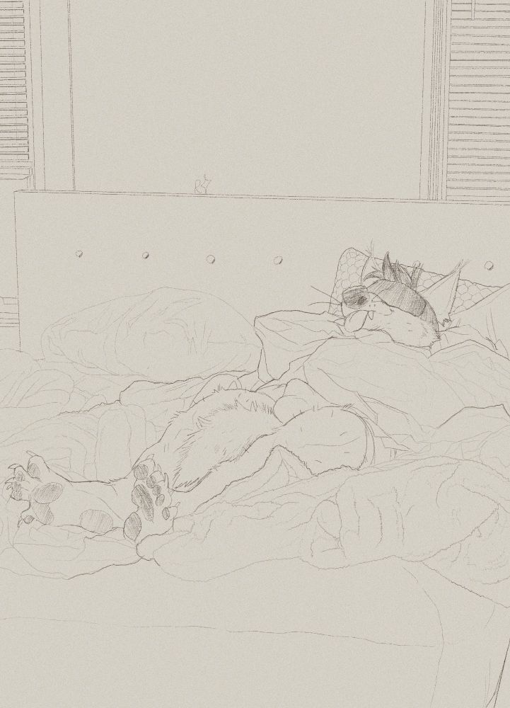 Anthropomorphic sketch or a coyote laying in bed cuddling up with blankets sticking their lower legs out and wearing a sleeping mask. Sticking their tongue out. They look comfy 