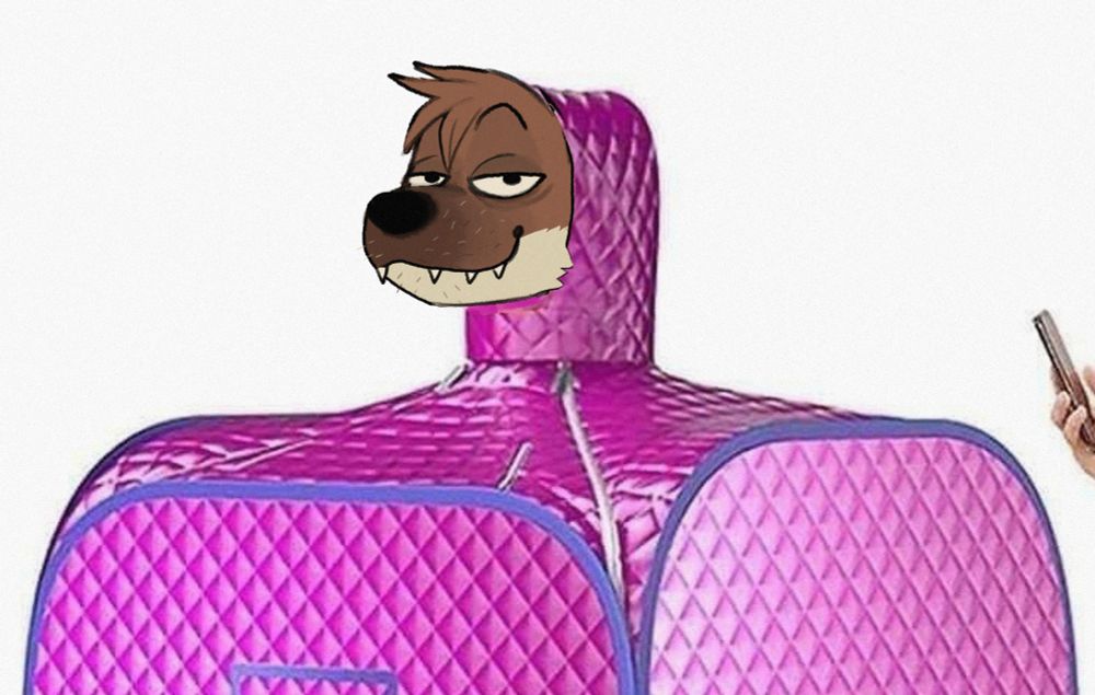 An anthropomorphic weasel inside of...some...sort of....device. Looking happy about it. It is honestly hard to describe but the Ro Weasel looks stoked.