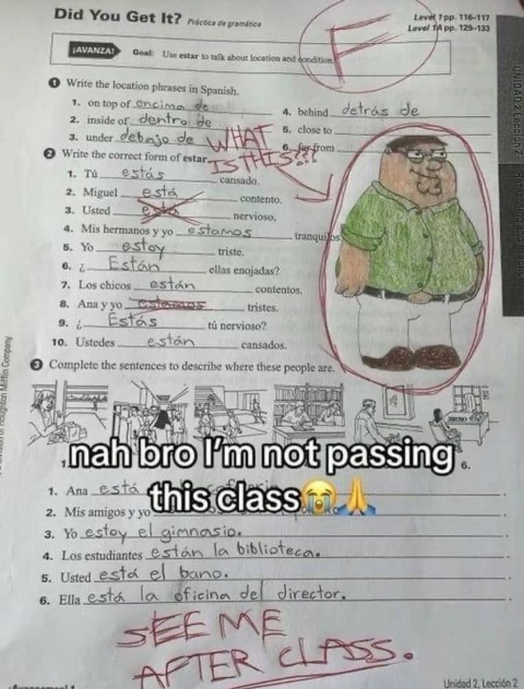 Failed test with a teacher's heavily displeased marks with a red pen containing a giant doodle of Peter Griffin with his outfit colors swapped. Angrily circled in red ink with an arrowed caption, saying, "WHAT IS THIS???"

At the very bottom of the test is an aggressively written note reading "SEE ME AFTER CLASS."