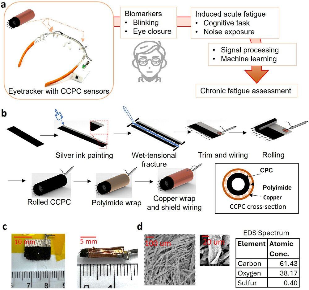 Intelligent Eye Tracker Integrated with Cylindrical Capacitive Sensors for Chronic Fatigue Assessment!
Fatigue negatively impacts health, safety, and productivity, yet current monitoring methods are often subjective, labor-intensive, and inaccurate. To address these challenges, this study presents a capacitive sensor-based eye tracker (ET) leveraging cylindrical carbon nanotube-paper composite (CCPC) sensors for chronic fatigue (CF) assessment. Fabricated by novel wet-fracture and paper-rolling methods, CCPC sensors demonstrate superior proximity sensitivity with a small form factor. These 1D sensors are seamlessly integrated into an eyeglass frame for noncontact monitoring of blink rates and eye closures. Fifteen-minute testing protocol, combining cognitive tasks and noise exposure, is designed to induce acute fatigue and identify CF. By analyzing changes in the digital markers against established fatigue indicators, CF is assessed with the aid of machine learning models for the evaluation of accuracy, sensitivity, and specificity. This real-time, wearable monitoring platform provides an objective, effortless, and noncontact approach to fatigue assessment. With further testing and optimization, it holds the potential for user-friendly evaluation of acute fatigue or fatigue-associated diseases, such as myalgic encephalomyelitis/chronic fatigue syndrome (ME/CFS).
