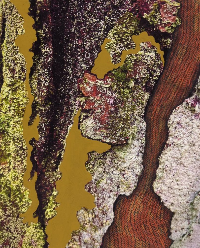 Macro photo of tree bark with woven patterning and mapping drawn/painted on top, in muted yellow-greens and oranges