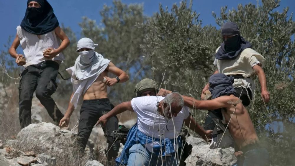 Protegidos por soldados de Israel, colonos judeus atacam palestinos colhendo oliveiras no sul de Hebron (vídeo) »