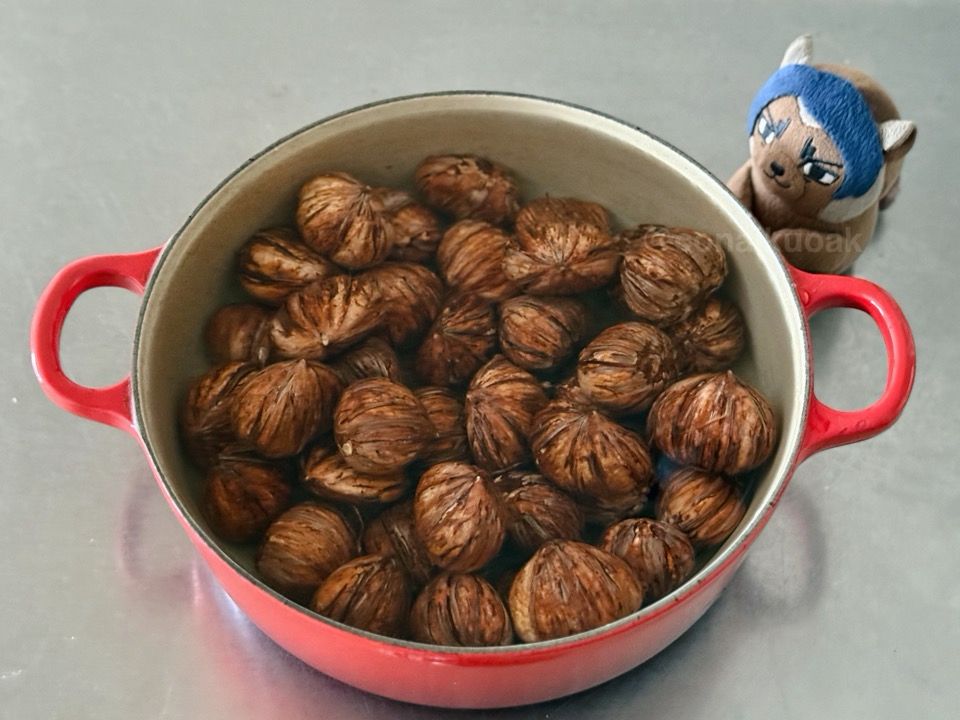 渋皮の付いた栗とたっぷりの水の入った鍋の側にこいほぜがいる