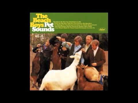 The Beach Boys - I just wasn't made for these times (Vocals Only)