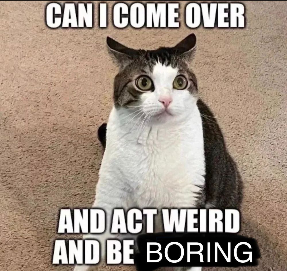 A cat looking anxious with Impact! font reading 