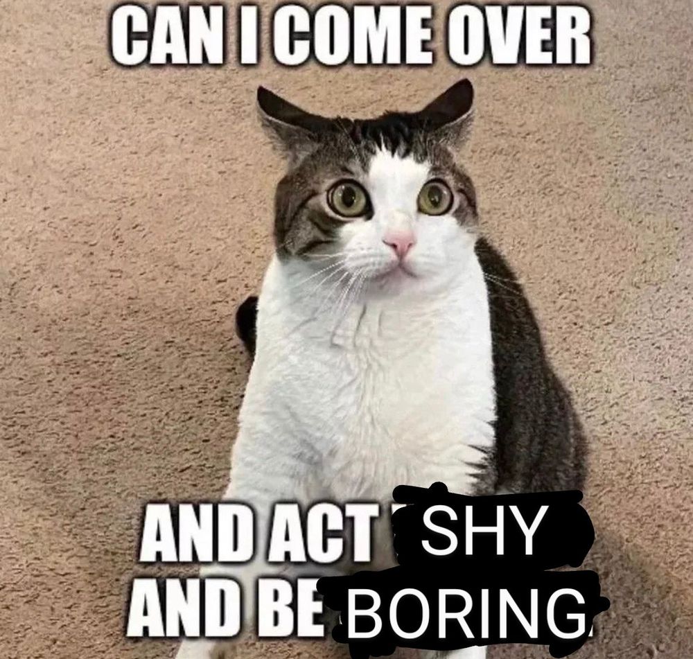 A cat looking anxious with Impact! font reading 