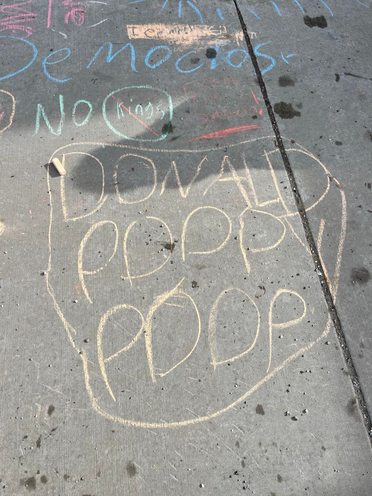 Donald Poopy Poop written by a child with chalk on sidewalk